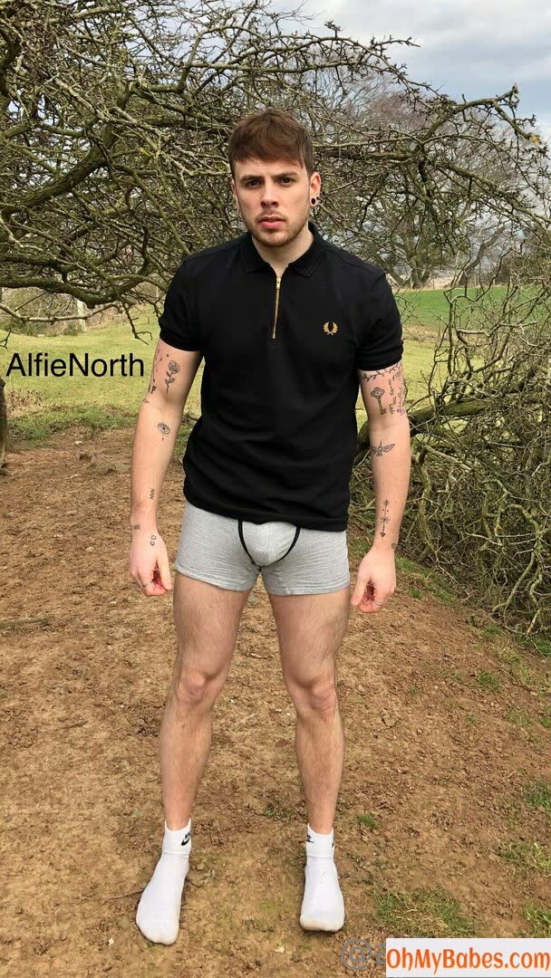 alfienorthfree OnlyFans leaked photo #14 - OhMyBabes