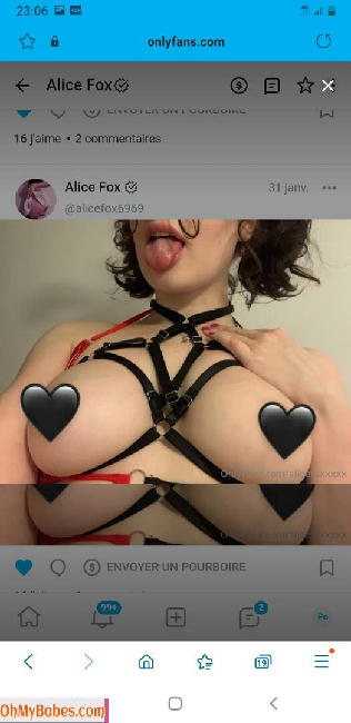 Alicefox6969 OnlyFans leaked photo #6 - OhMyBabes