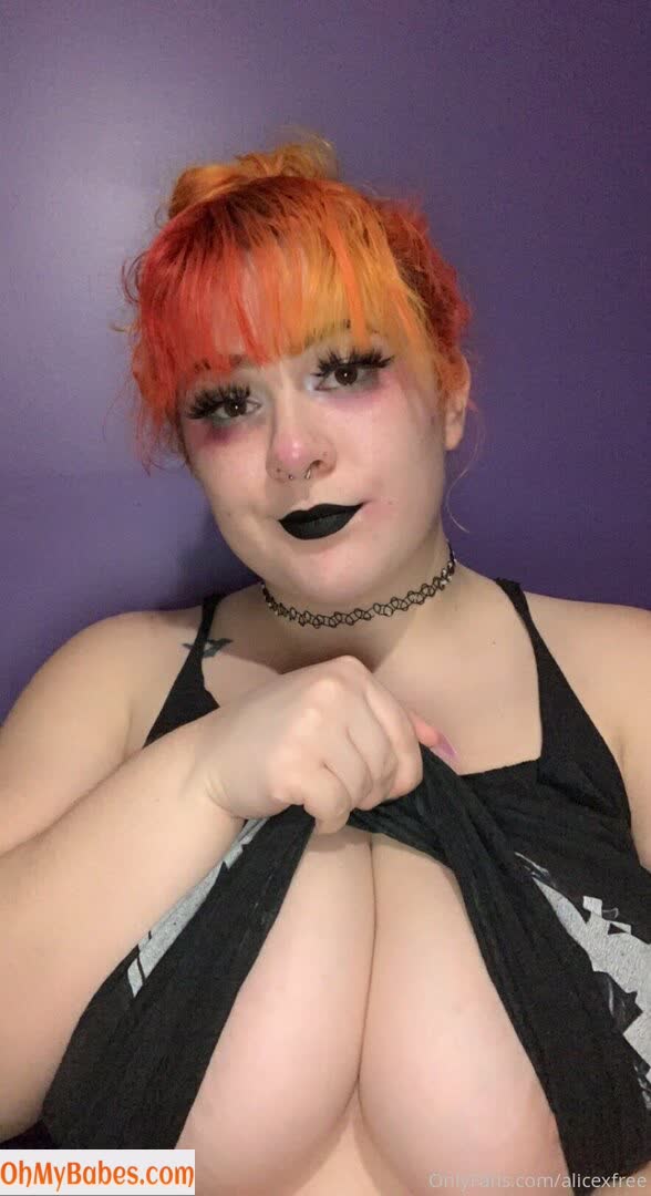 alicexfree OnlyFans leaked photo #63 - OhMyBabes