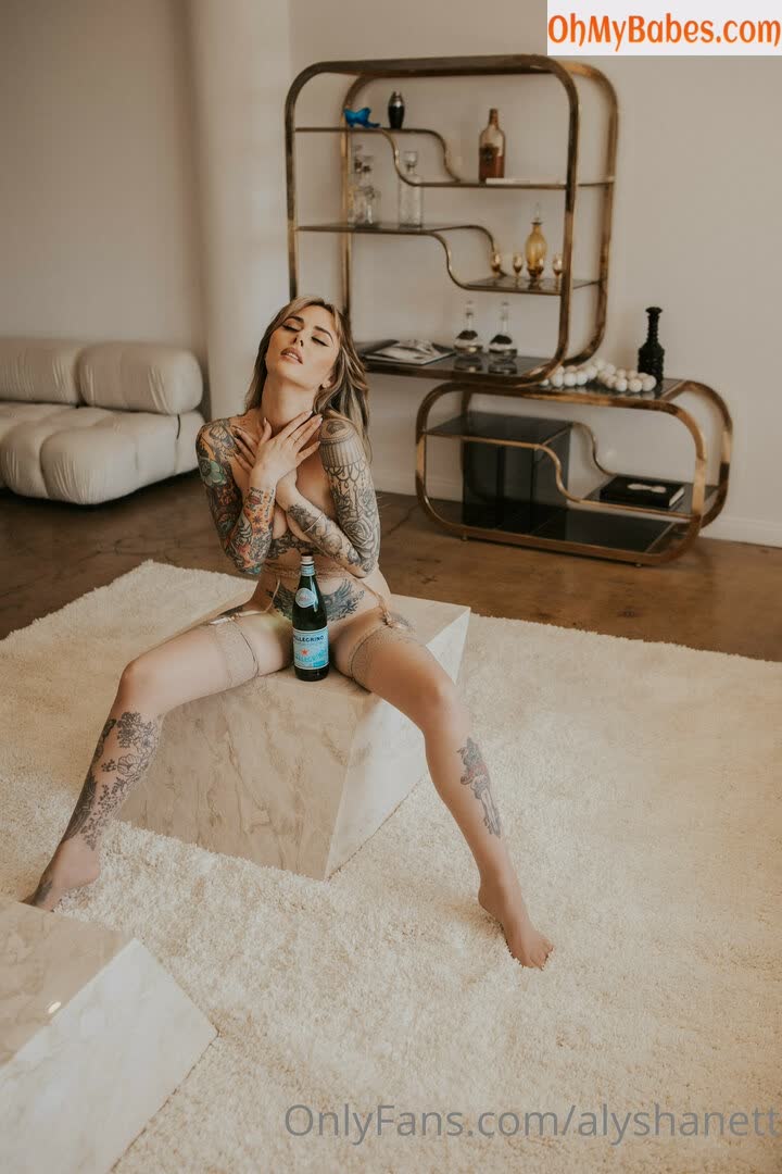 AlyshaNett OnlyFans leaked photo #17 - OhMyBabes