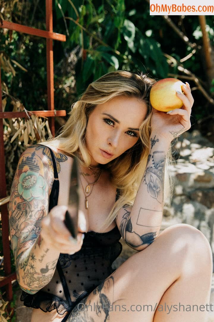 AlyshaNett OnlyFans leaked photo #24 - OhMyBabes