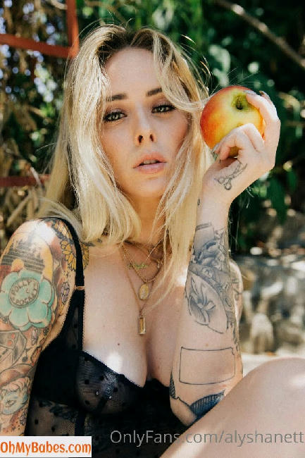 AlyshaNett OnlyFans leaked photo #26 - OhMyBabes