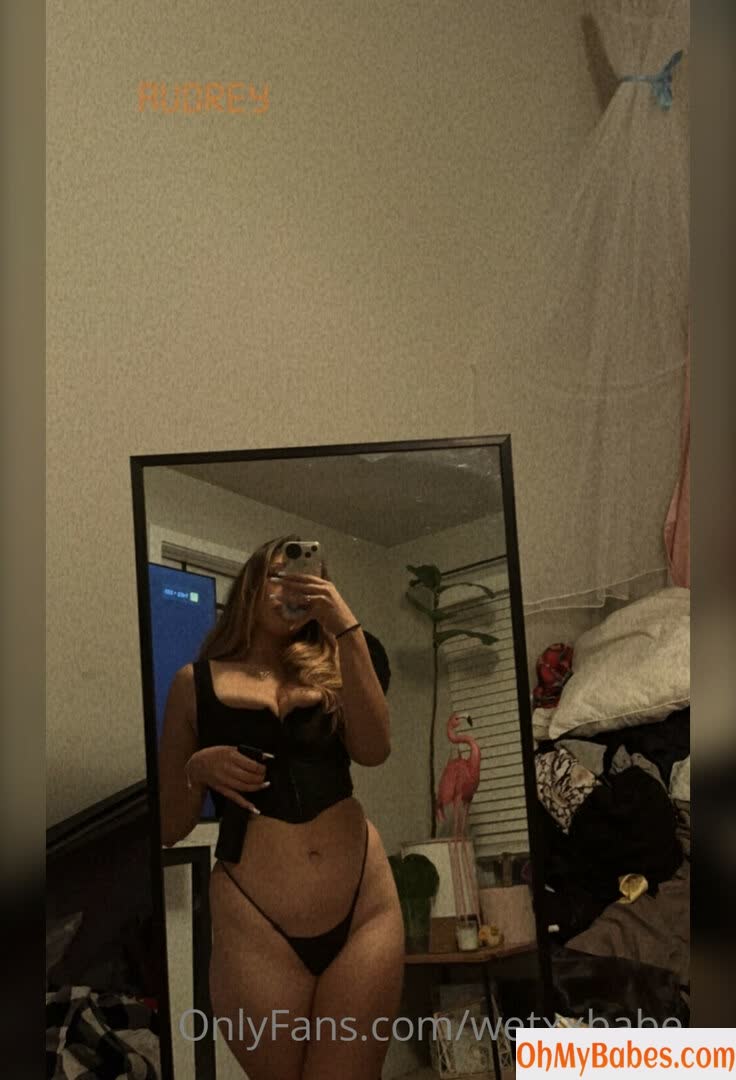 babyaudreyyx OnlyFans leaked photo #12 - OhMyBabes