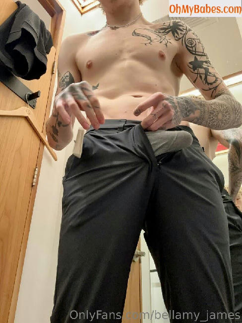 bellamy_james OnlyFans leaked photo #85 - OhMyBabes