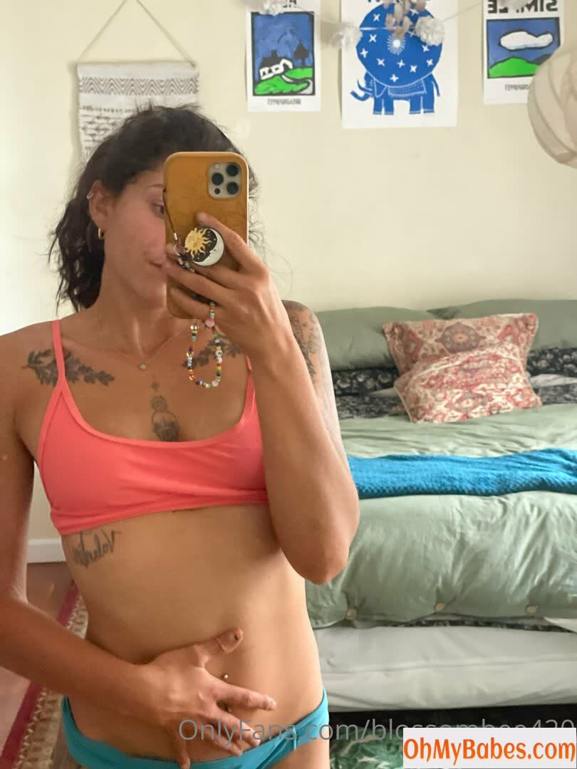 blossombee420 OnlyFans leaked photo #10 - OhMyBabes