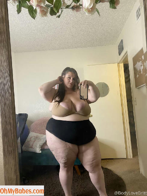 brittneyblisss OnlyFans leaked photo #27 - OhMyBabes