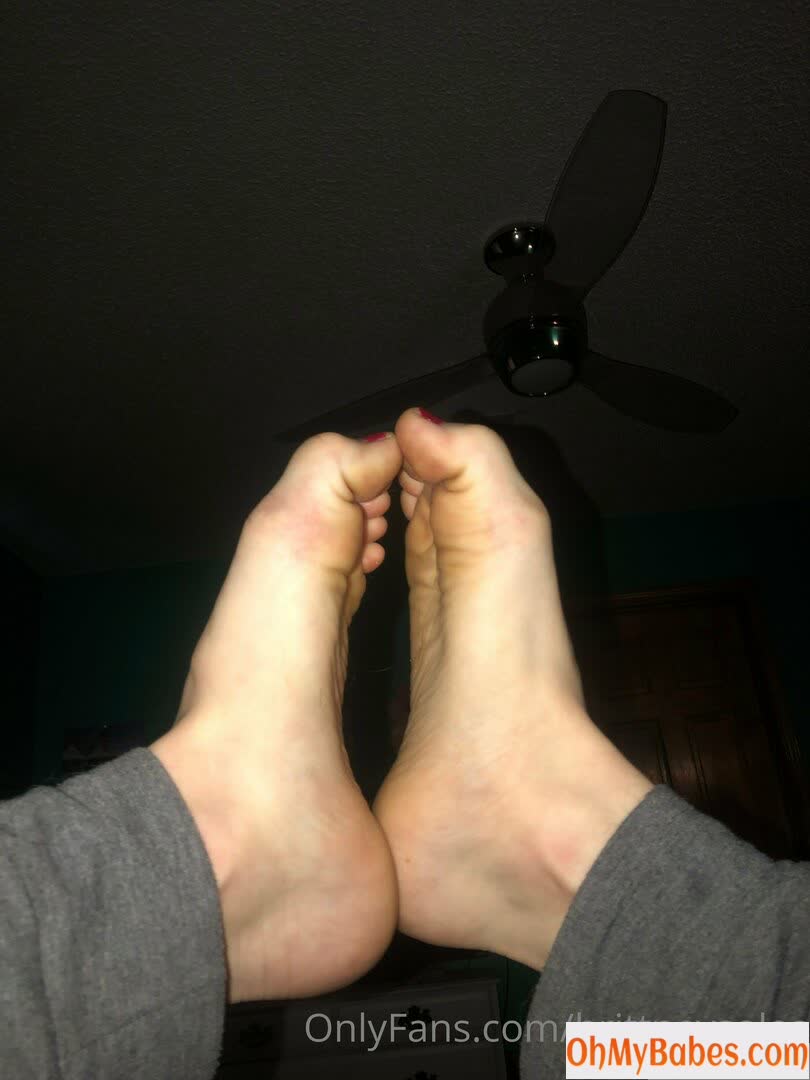 brittneysoles Nude Leaked photo #84 - OhMyBabes