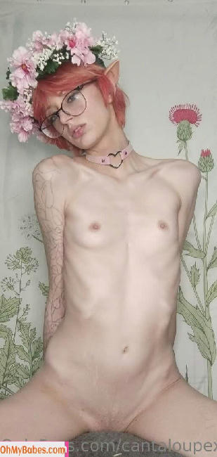 cantaloupexo Nude Leaked photo #119 - OhMyBabes