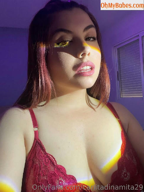 carlitadinamita29 OnlyFans leaked photo #67 - OhMyBabes