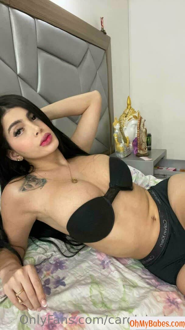 carolainvina OnlyFans leaked photo #48 - OhMyBabes