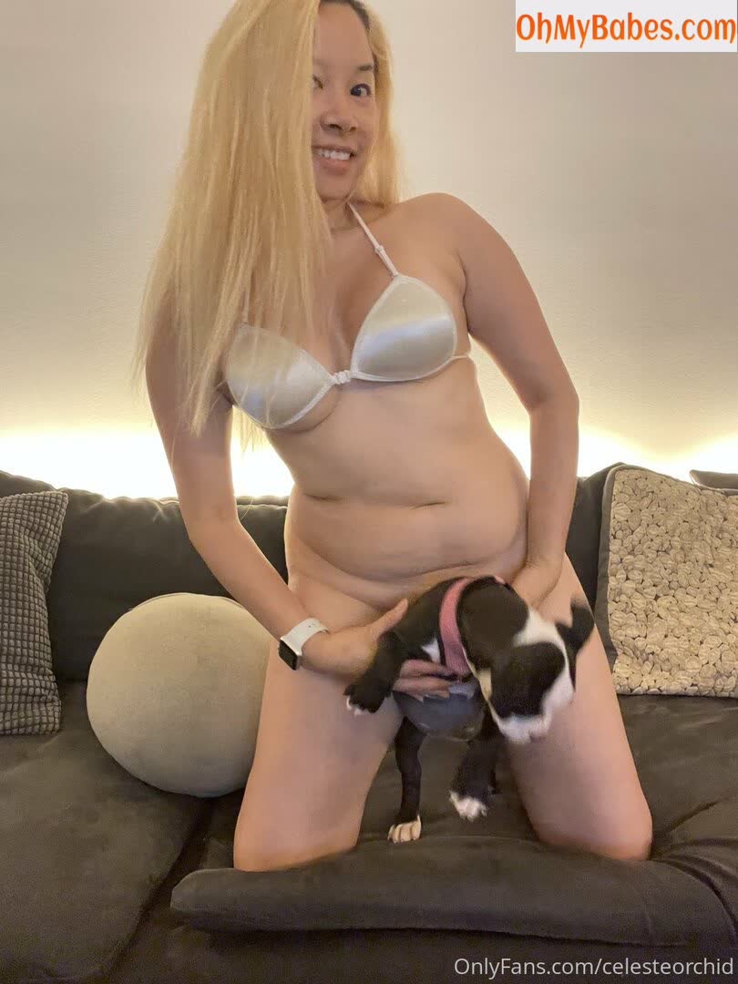 Celeste Orchid OnlyFans leaked photo #21 - OhMyBabes