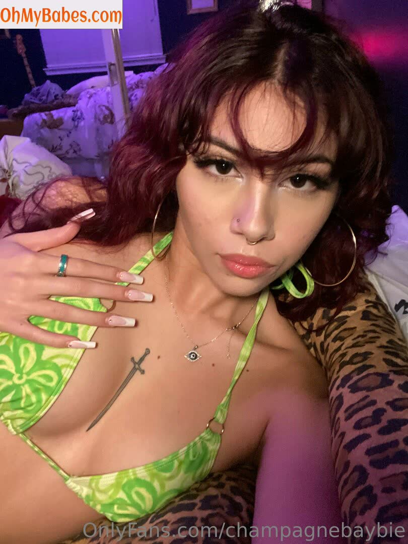 champagnebaybie OnlyFans leaked photo #8 - OhMyBabes