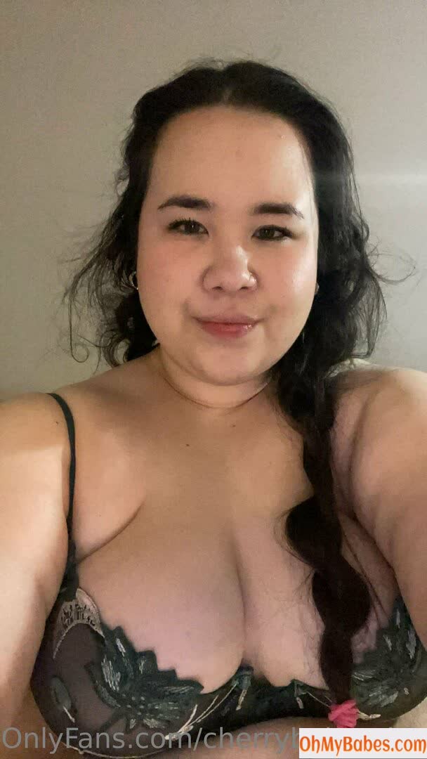 cherrybabyssbbw OnlyFans leaked photo #89 - OhMyBabes