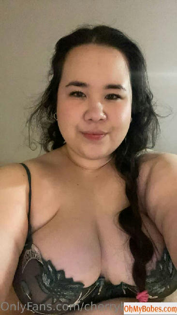 cherrybabyssbbw OnlyFans leaked photo #89 - OhMyBabes