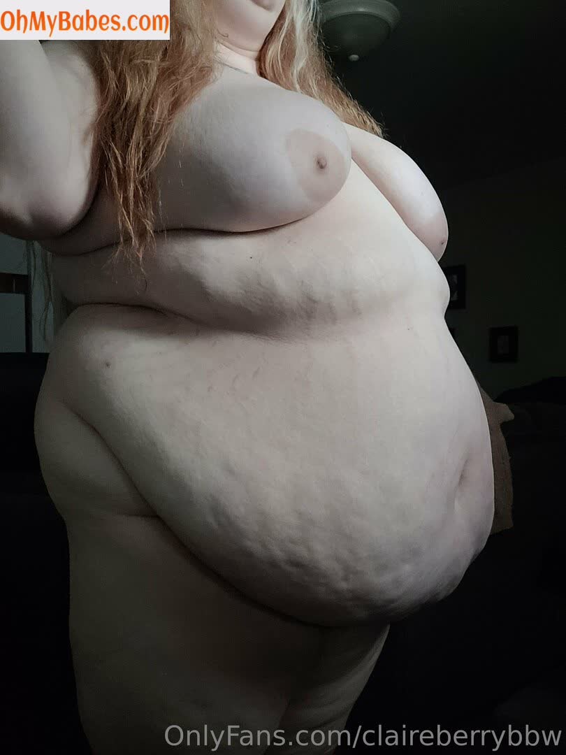 claireberrybbw OnlyFans leaked photo #163 - OhMyBabes