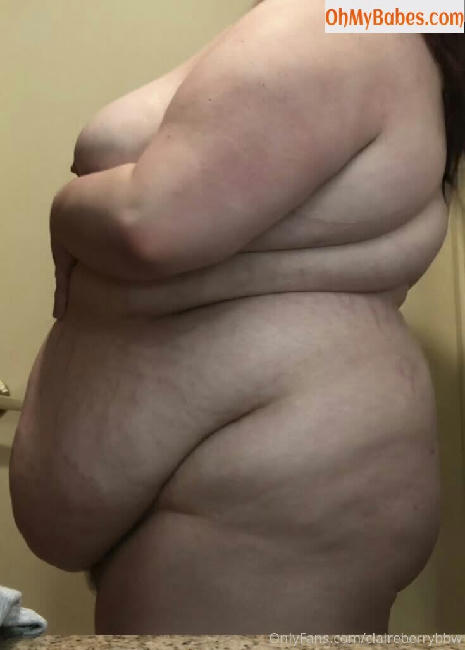 claireberrybbw OnlyFans leaked photo #68 - OhMyBabes