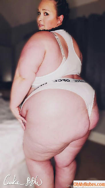 cookie_bbw Nude Leaked photo #142 - OhMyBabes