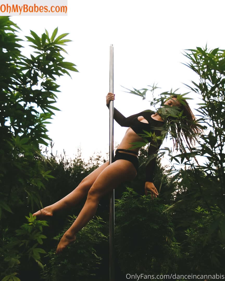 danceincannabis OnlyFans leaked photo #63 - OhMyBabes