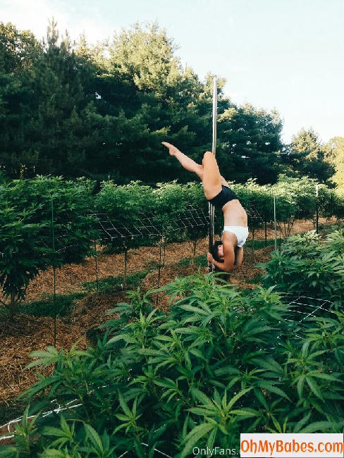 danceincannabis OnlyFans leaked photo #71 - OhMyBabes