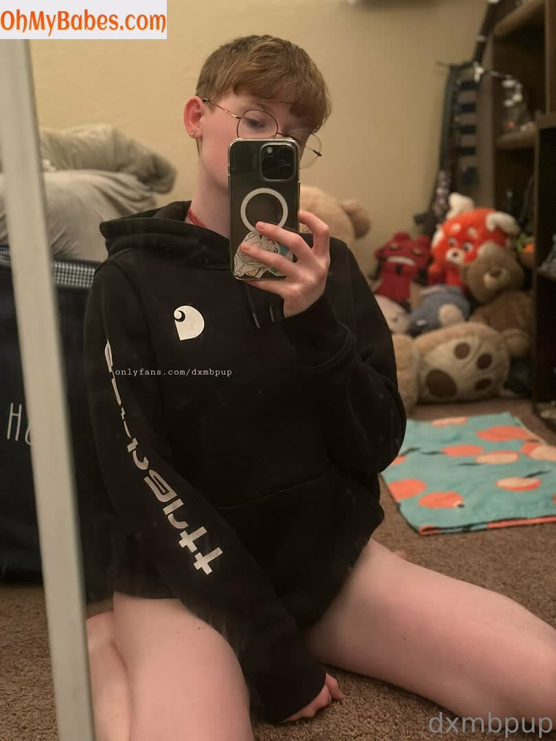 dxmbpup OnlyFans leaked photo #2 - OhMyBabes