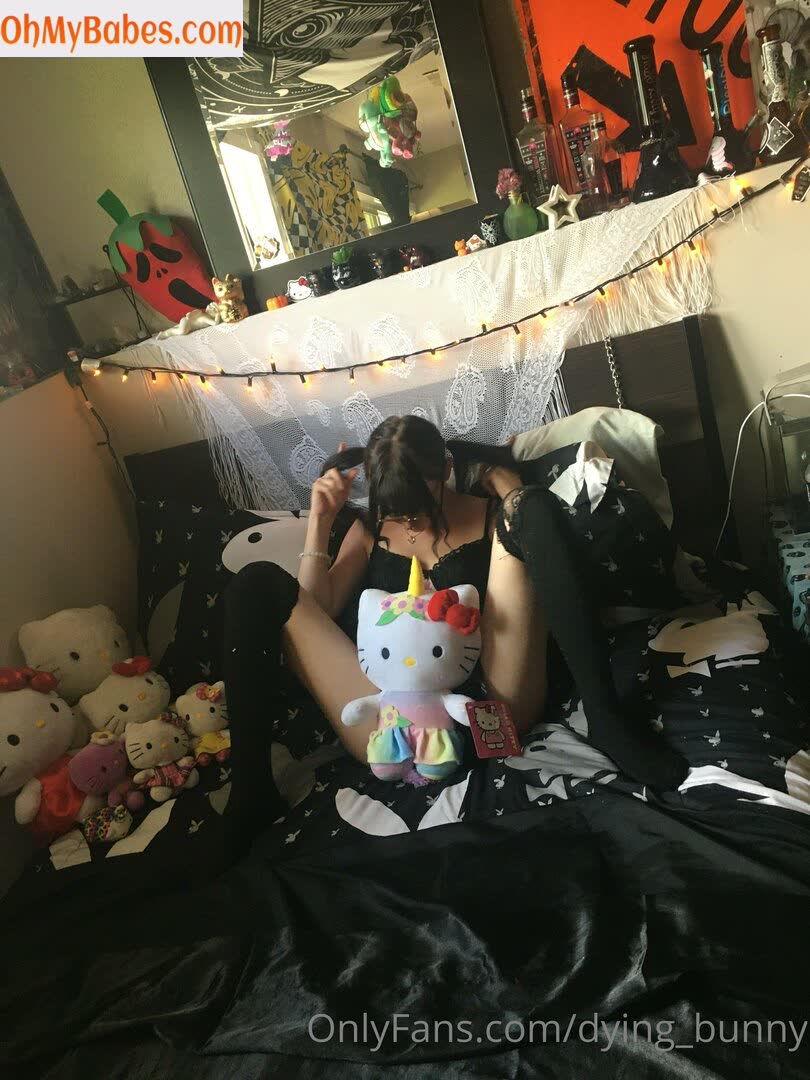 Dying_bunny OnlyFans leaked photo #46 - OhMyBabes