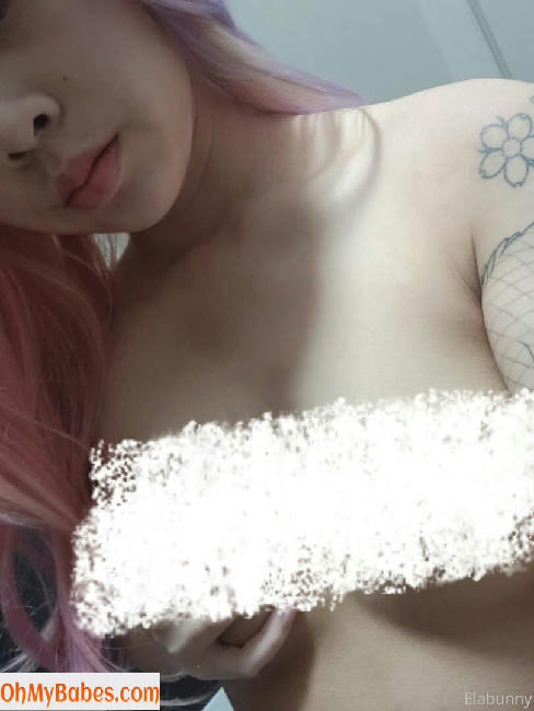 elabunny OnlyFans leaked photo #13 - OhMyBabes