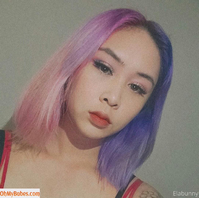 elabunny OnlyFans leaked photo #33 - OhMyBabes