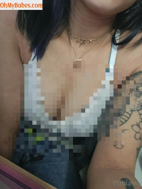 elabunny OnlyFans leaked photo #65 - OhMyBabes