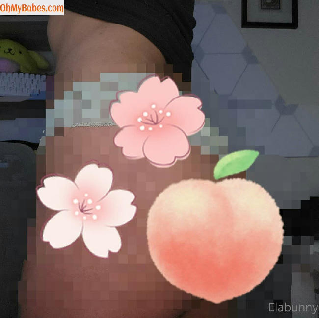 elabunny OnlyFans leaked photo #69 - OhMyBabes