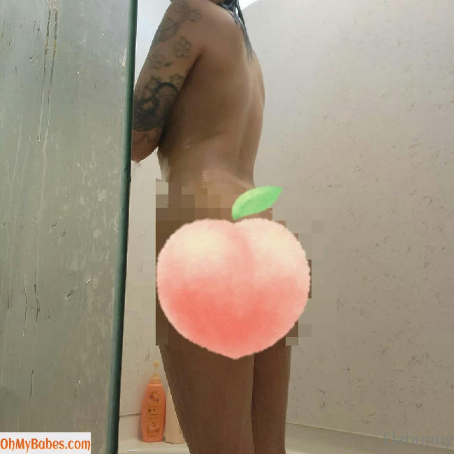 elabunny OnlyFans leaked photo #64 - OhMyBabes