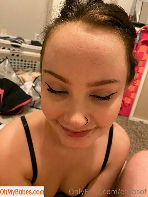 elizasof OnlyFans leaked photo #2 - OhMyBabes