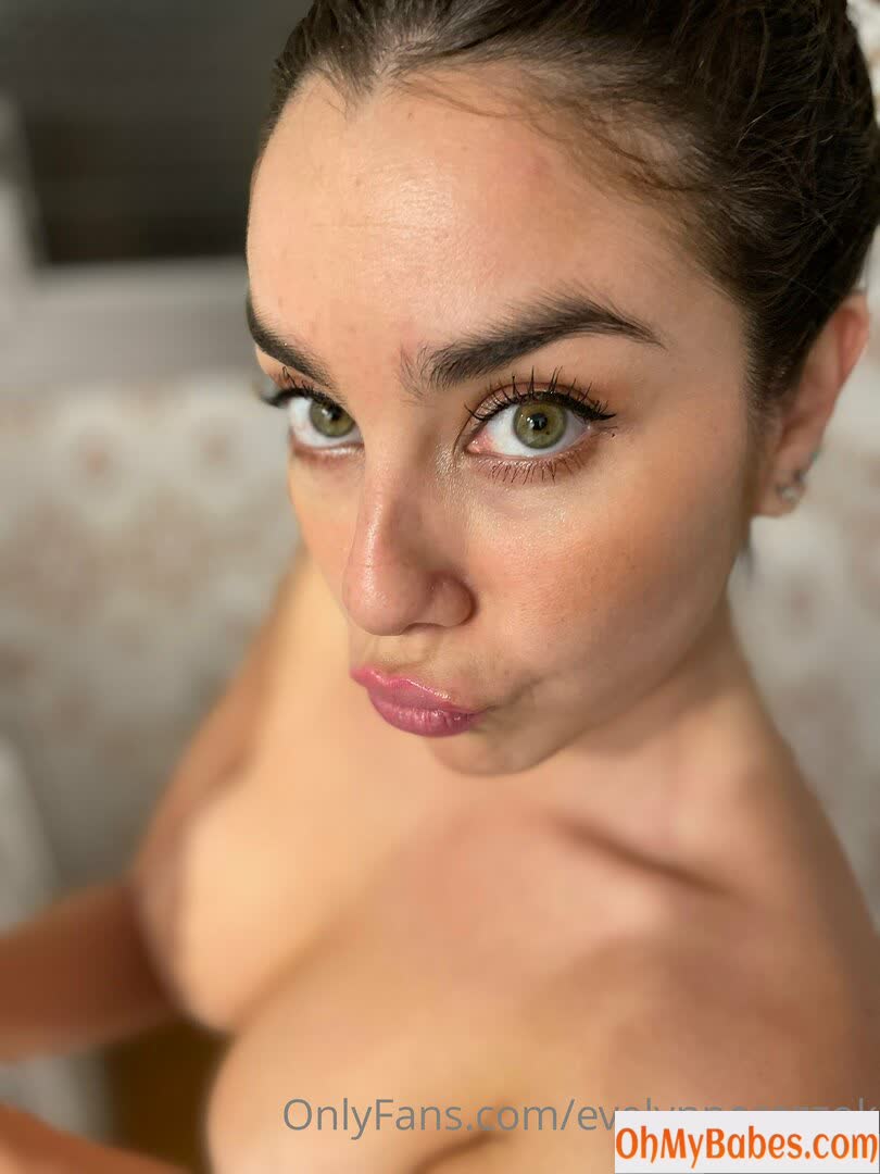 Evelynperezzok OnlyFans leaked photo #66 - OhMyBabes