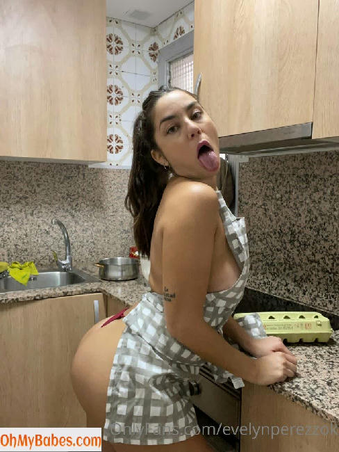 Evelynperezzok OnlyFans leaked photo #86 - OhMyBabes