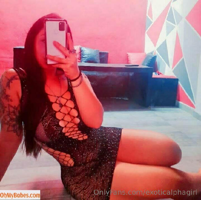 exoticalphagirl OnlyFans leaked photo #58 - OhMyBabes