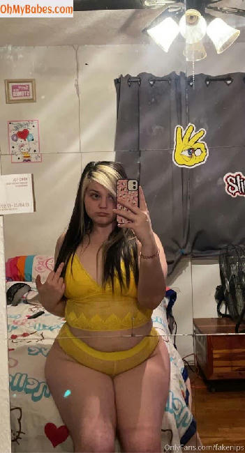 fakenips OnlyFans leaked photo #34 - OhMyBabes