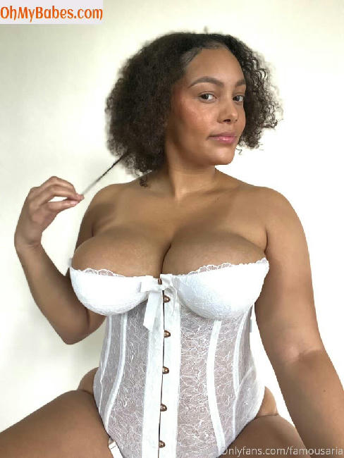 famousaria OnlyFans leaked photo #13 - OhMyBabes