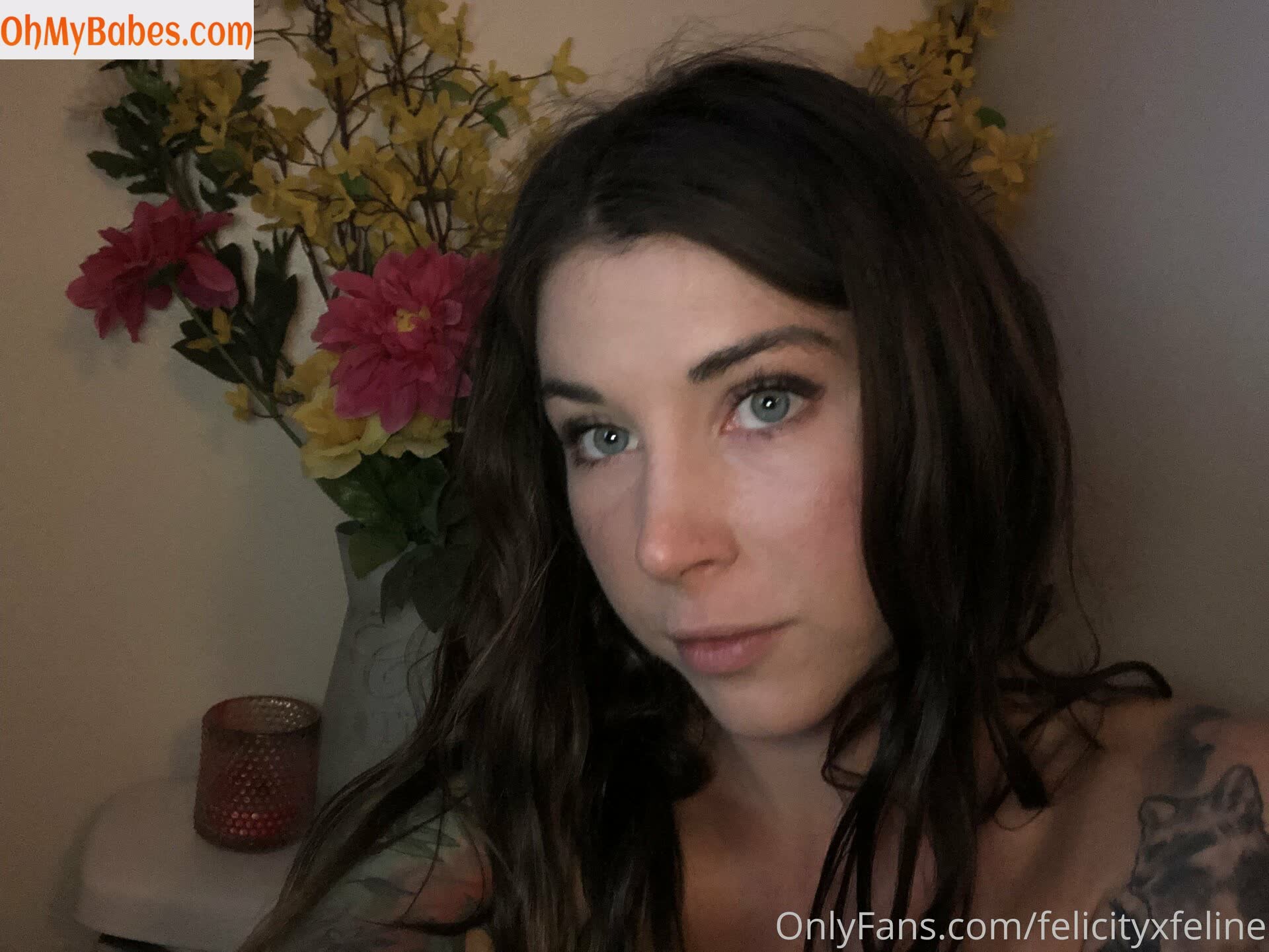 felicityfeline OnlyFans leaked photo #16 - OhMyBabes