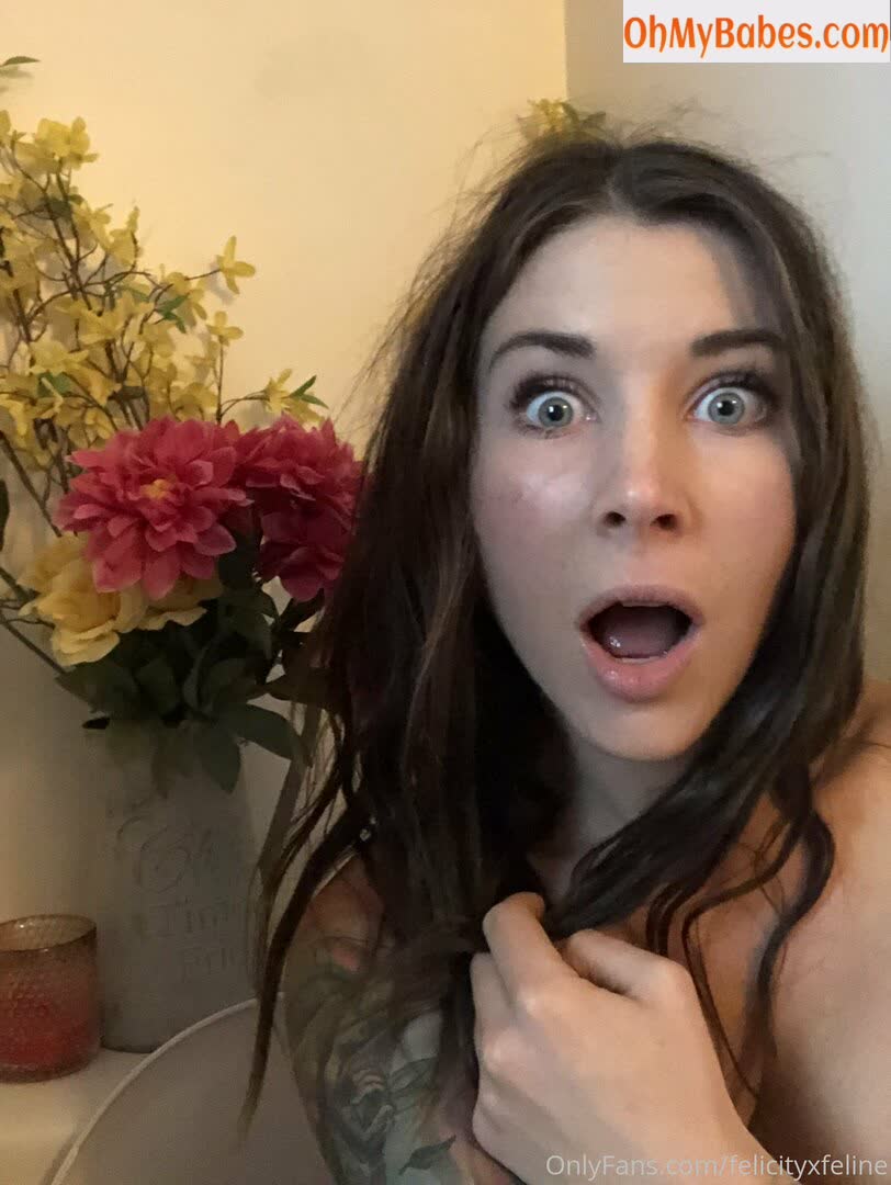 felicityfeline OnlyFans leaked photo #20 - OhMyBabes