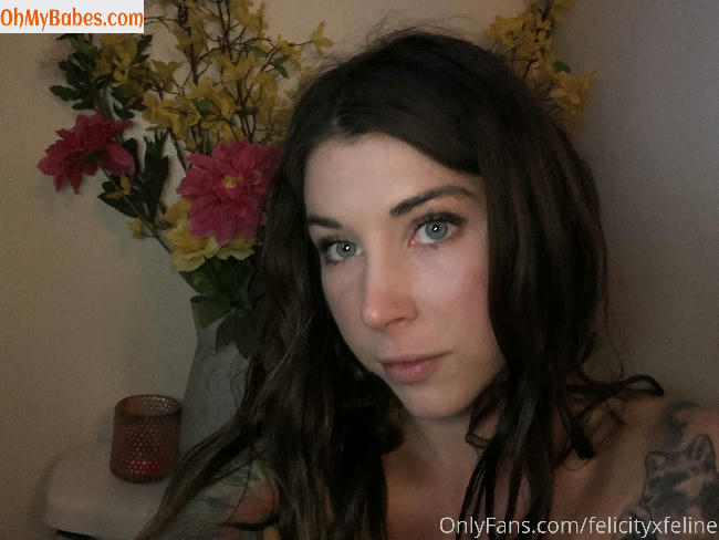 felicityfeline OnlyFans leaked photo #16 - OhMyBabes