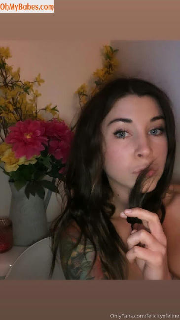 felicityfeline OnlyFans leaked photo #21 - OhMyBabes