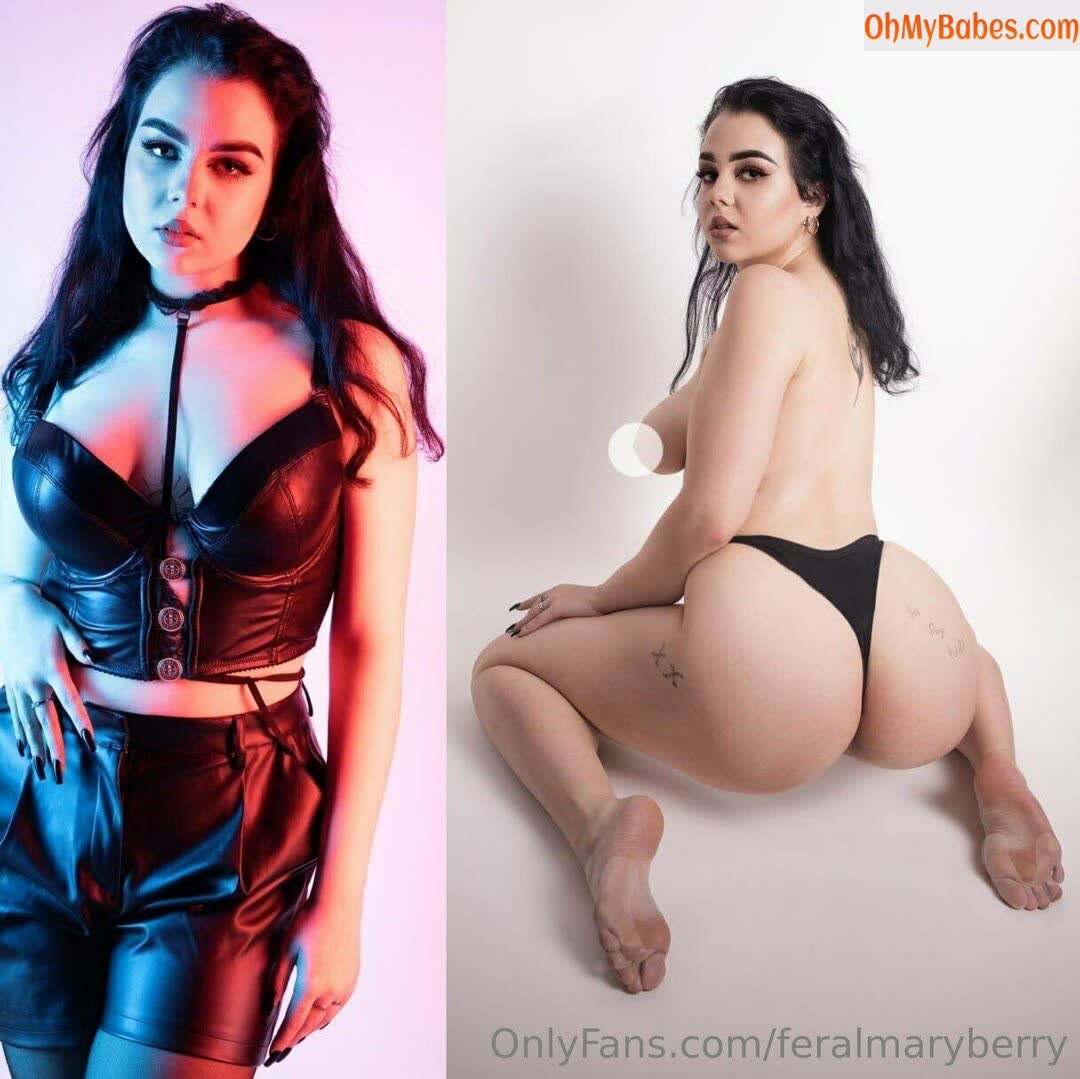 feralmaryberry OnlyFans leaked photo #46 - OhMyBabes