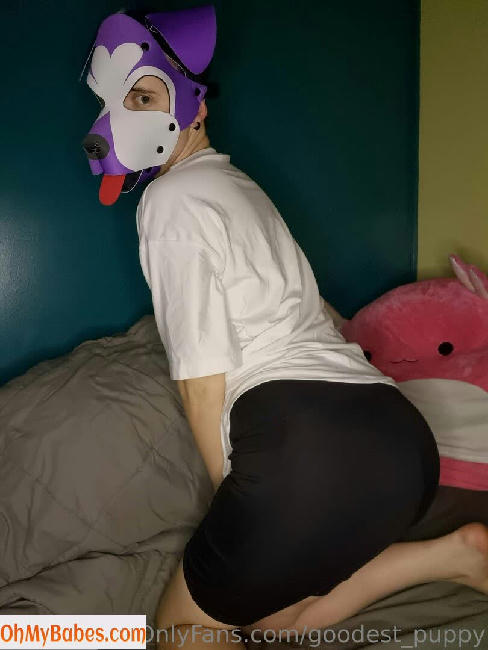 goodest_puppy OnlyFans leaked photo #5 - OhMyBabes