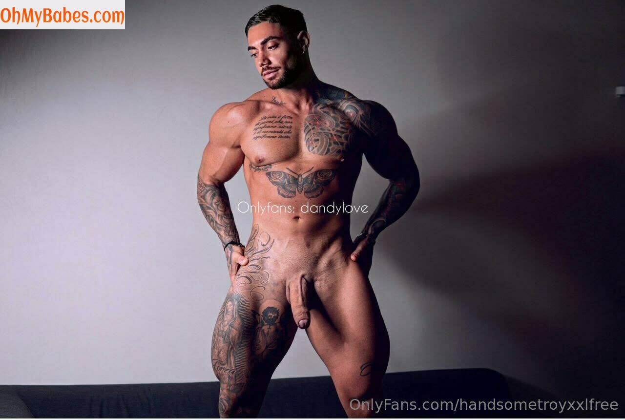 handsometroyxxlfree OnlyFans leaked photo #94 - OhMyBabes