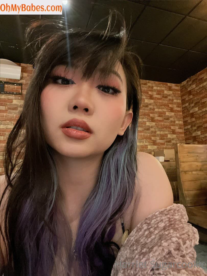 Harriet Sugarcookie Nude Leaked photo #53 - OhMyBabes