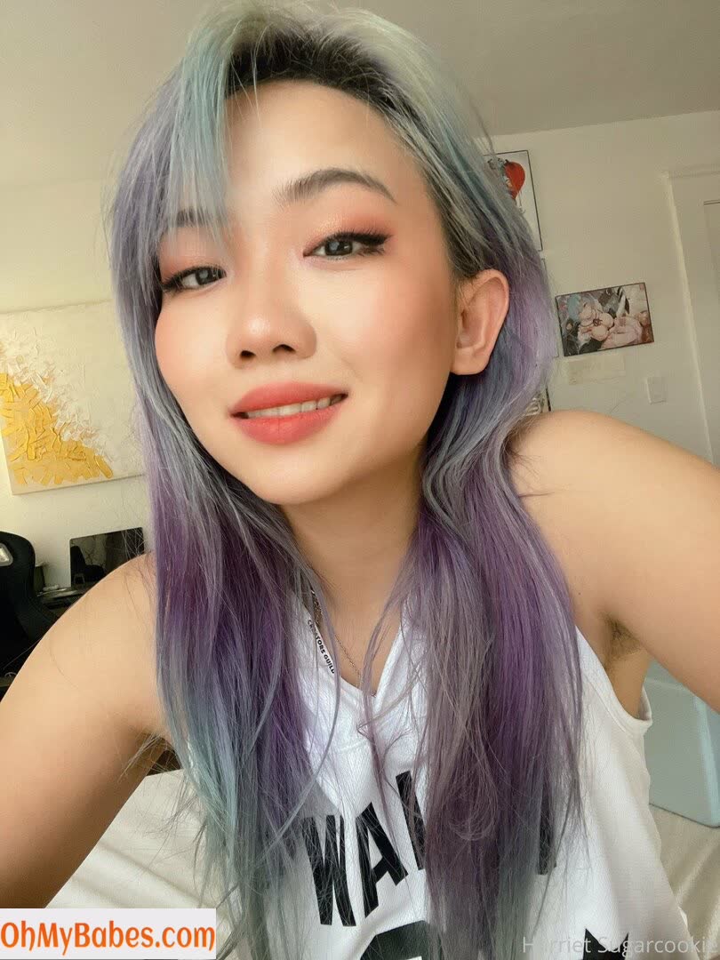 Harriet Sugarcookie Nude Leaked photo #9 - OhMyBabes