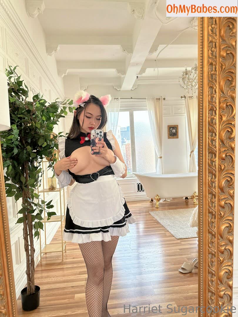 Harriet Sugarcookie Nude Leaked photo #12 - OhMyBabes