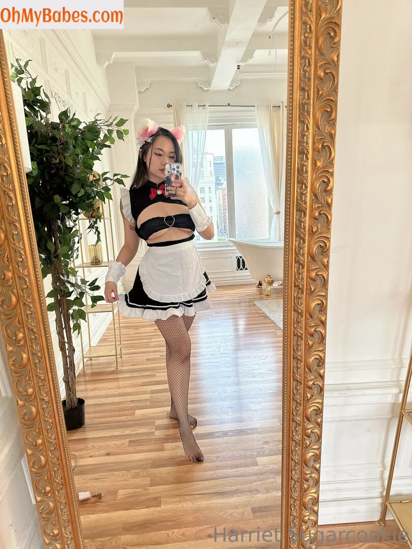 Harriet Sugarcookie Nude Leaked photo #13 - OhMyBabes