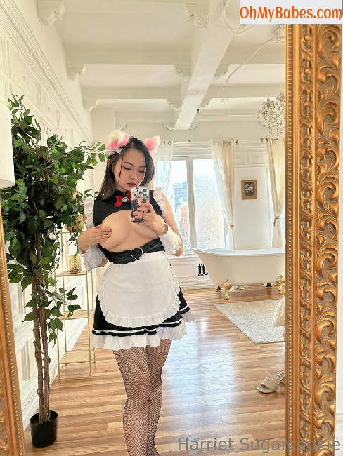 Harriet Sugarcookie Nude Leaked photo #12 - OhMyBabes