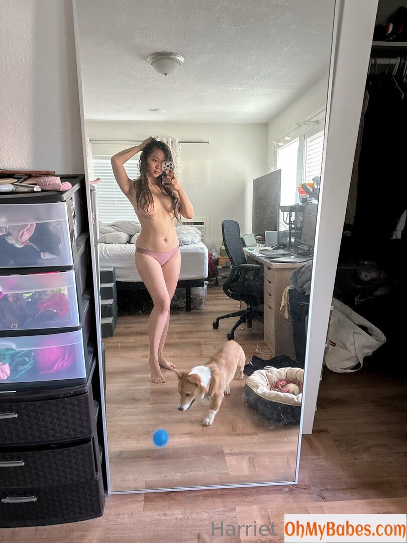 harrietsugarcookie Nude Leaked photo #3 - OhMyBabes