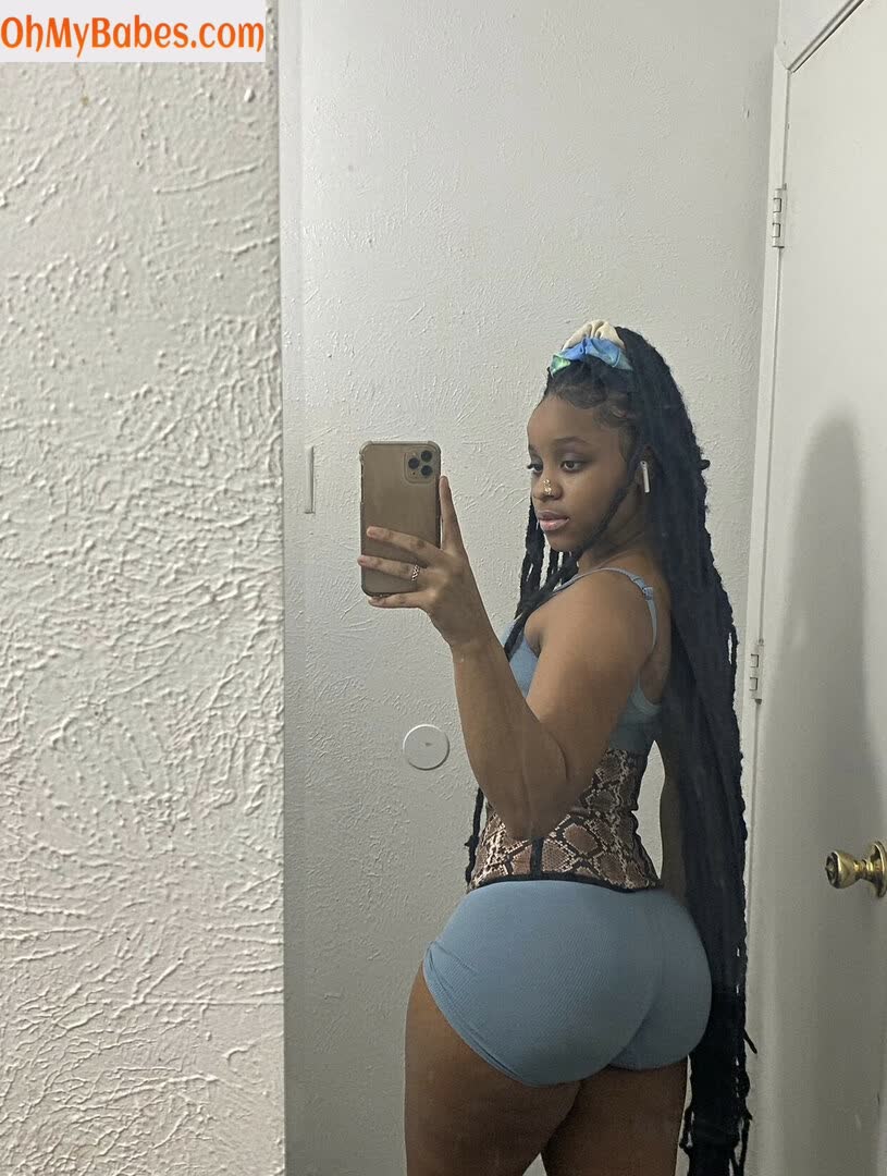 Iamdajahzhane OnlyFans leaked photo #4 - OhMyBabes